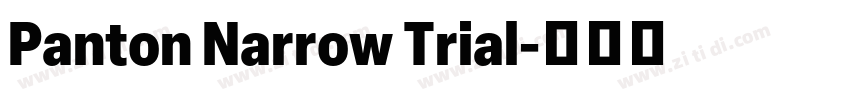 Panton Narrow Trial字体转换